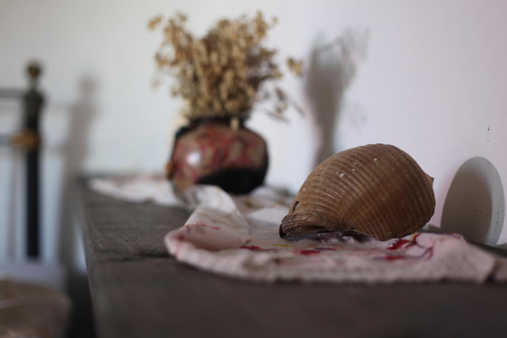 Mahzen Hotel Ayvalı 部屋 写真